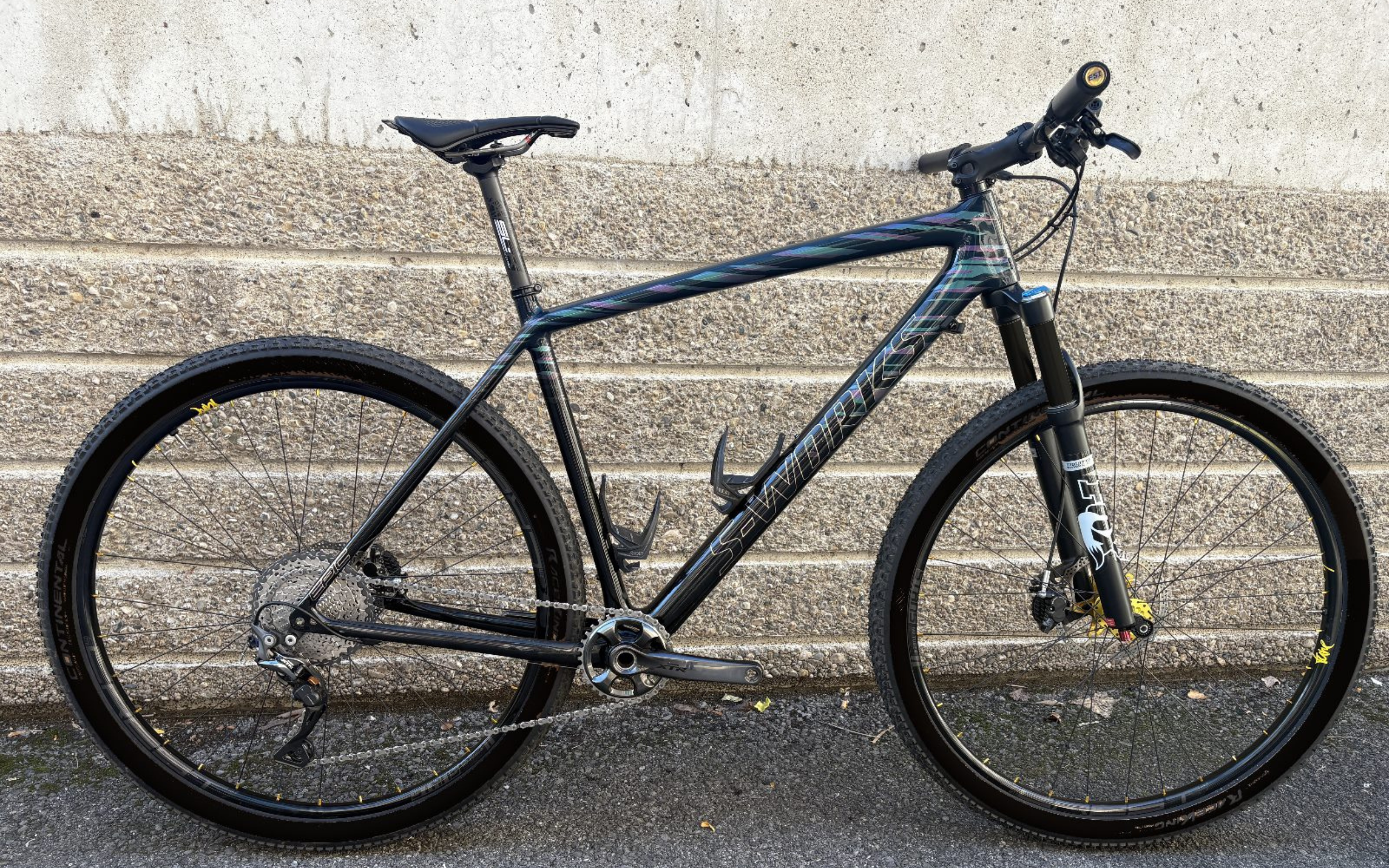 <strong>SPECIALIZED</strong> Epic S-Works Custom