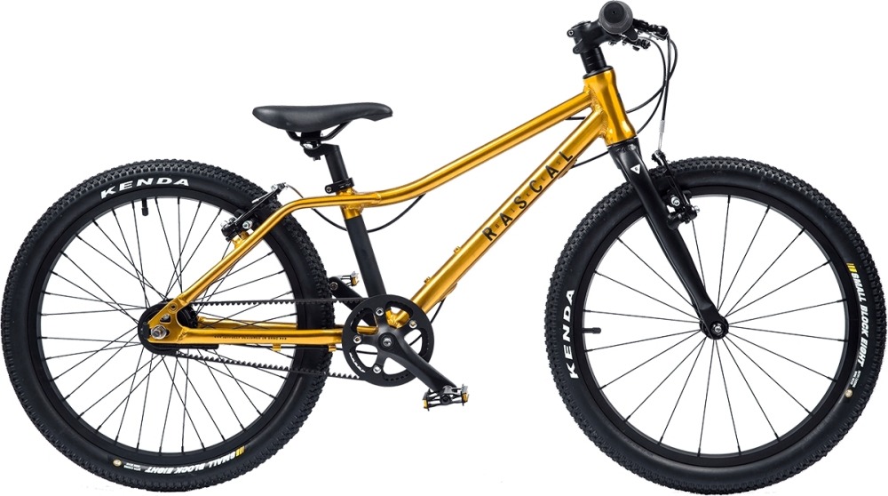 Rascal 20 Zoll Gold – Seitenansicht